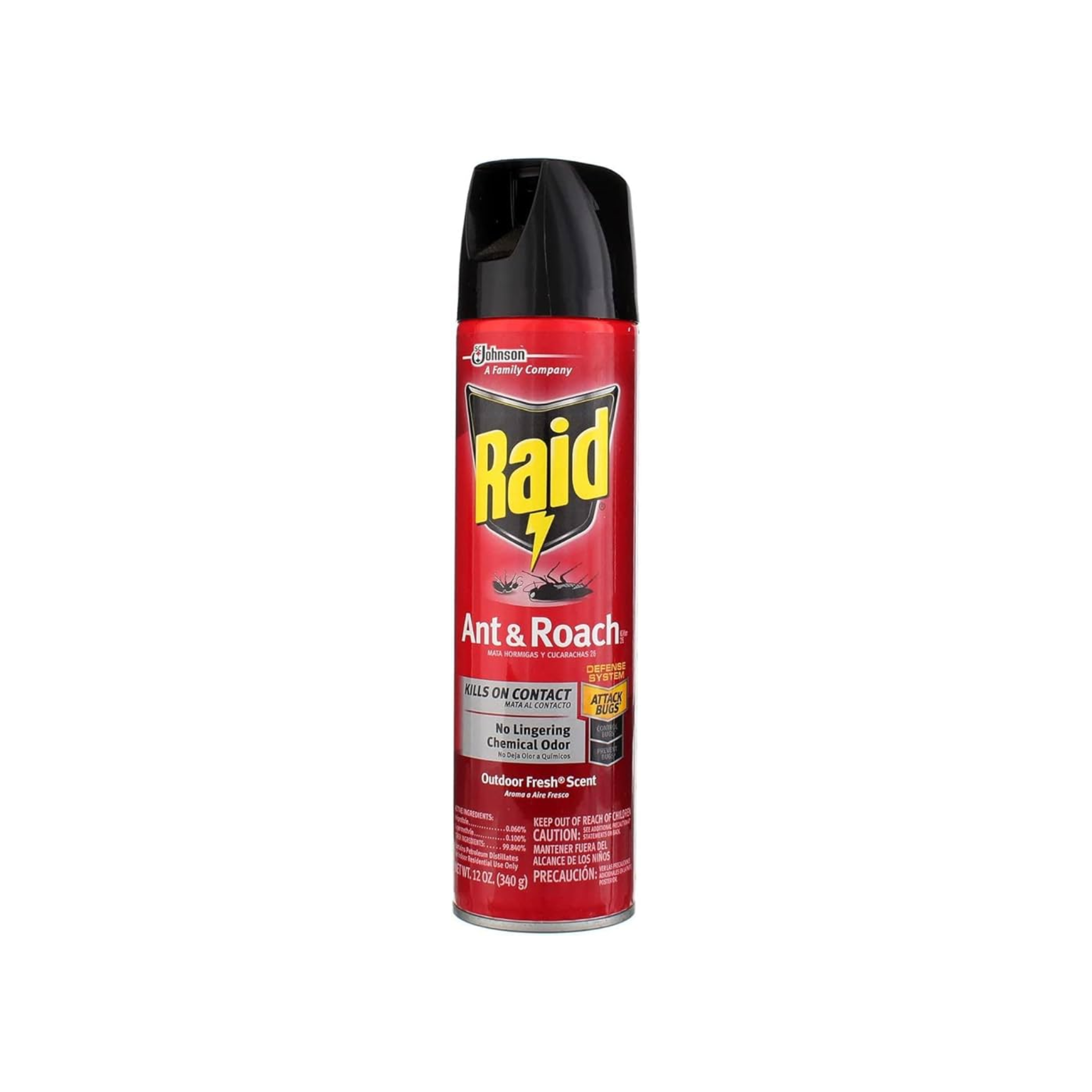 Raid Ant & Roach Killer Outdoor Fresh Scent 12oz