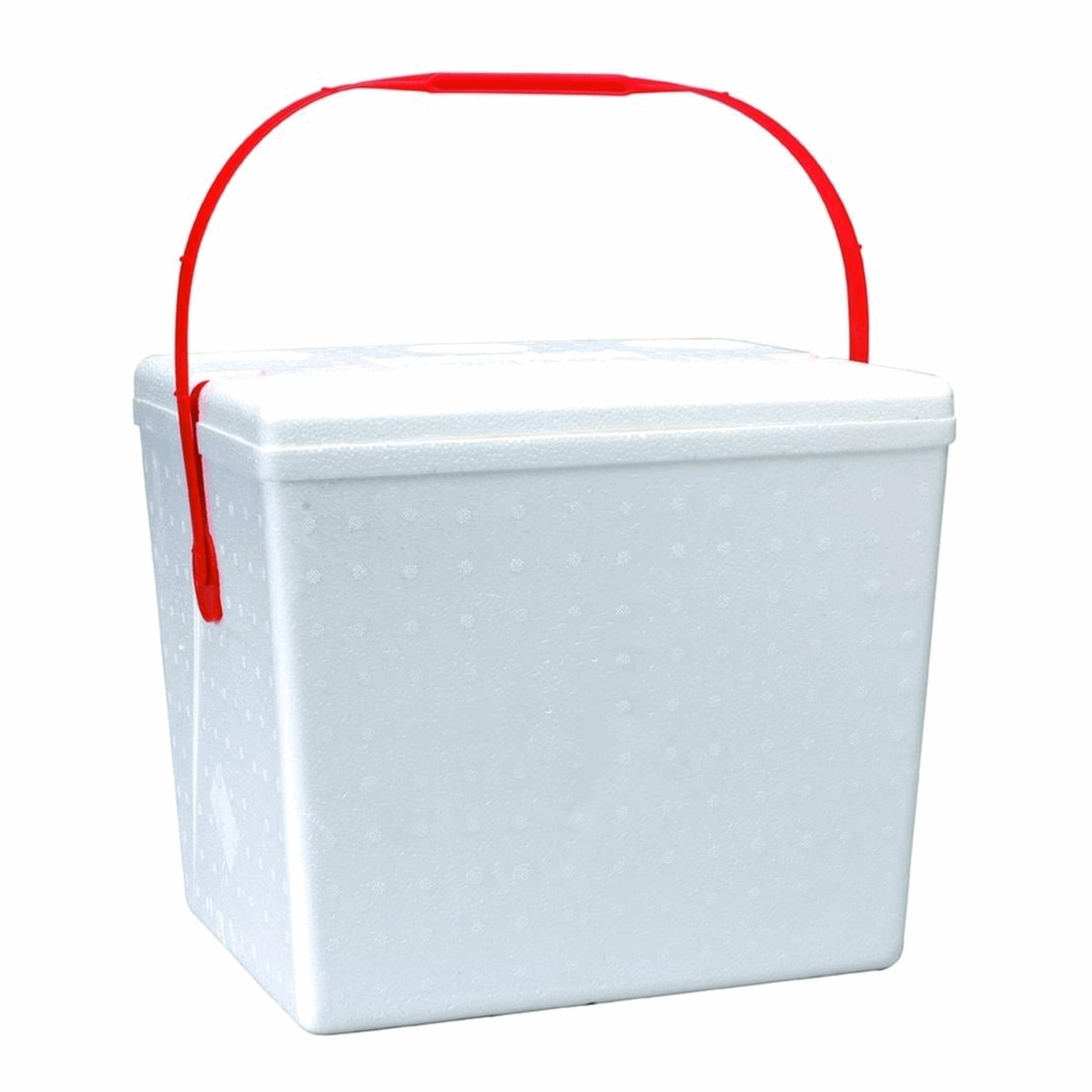 Small Ice Chest 10Q (Case of 12)