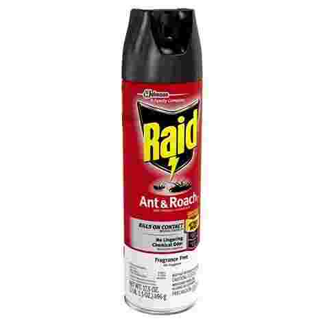 Raid Ant & Roach Killer Fragrance Free 17.5oz