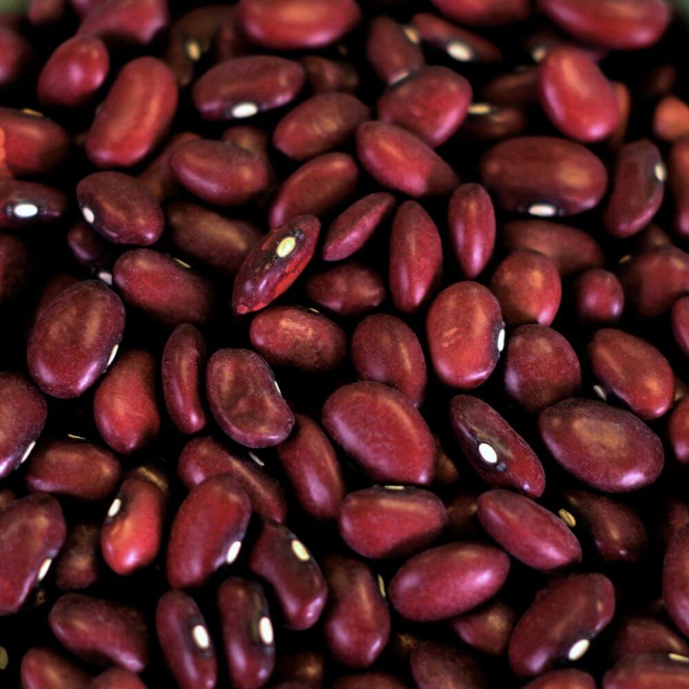 Red Beans Bulk 50lb